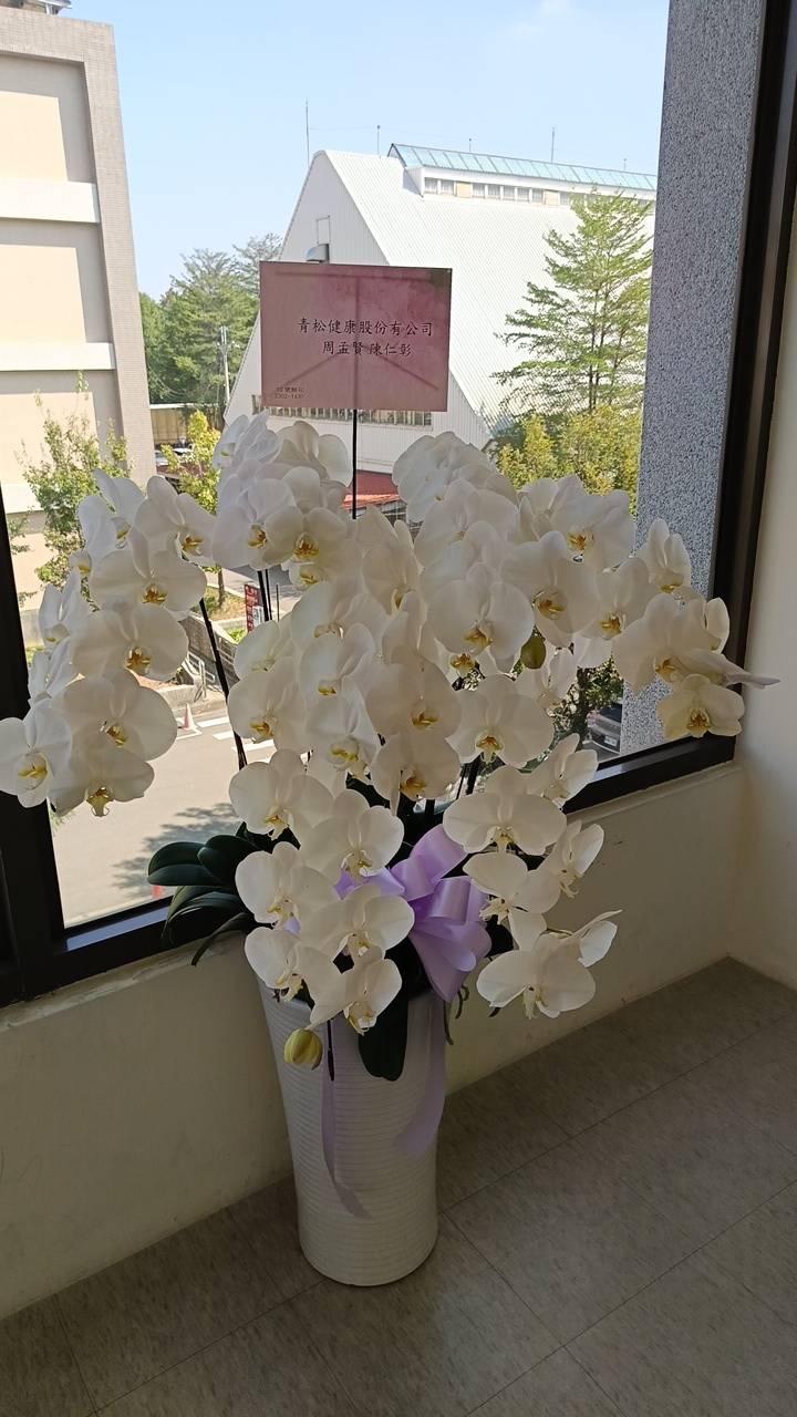 送花查詢區-1141117-1(追思)