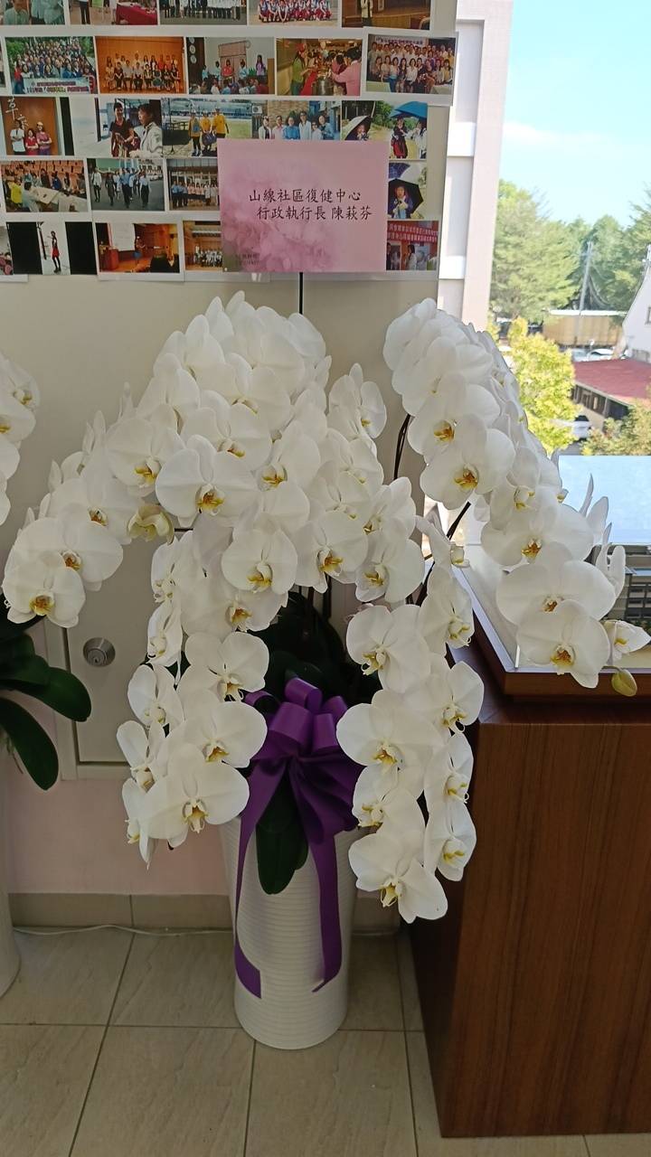 送花查詢區-1141117-1(追思)