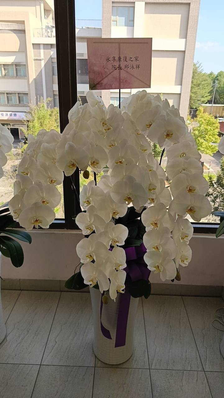 送花查詢區-1141117-1(追思)