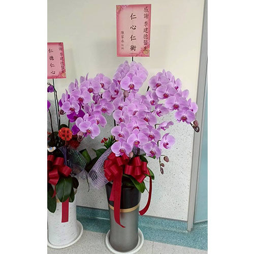 送花查詢區-1141108-2(感謝)