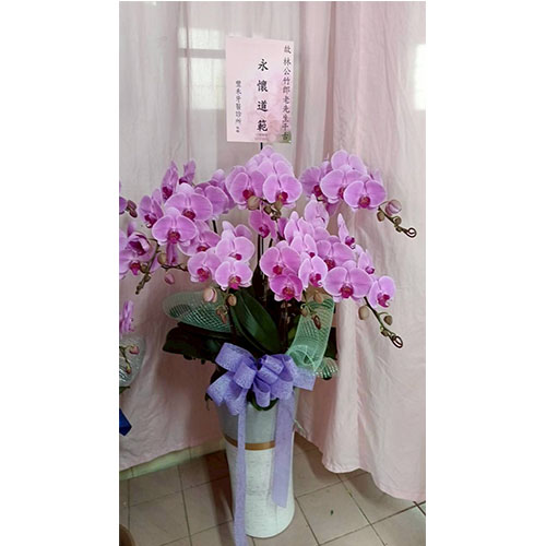 送花查詢區-1141110-7(喪禮)