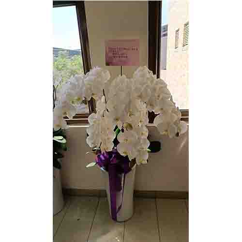 送花查詢區-1141117-1(追思)